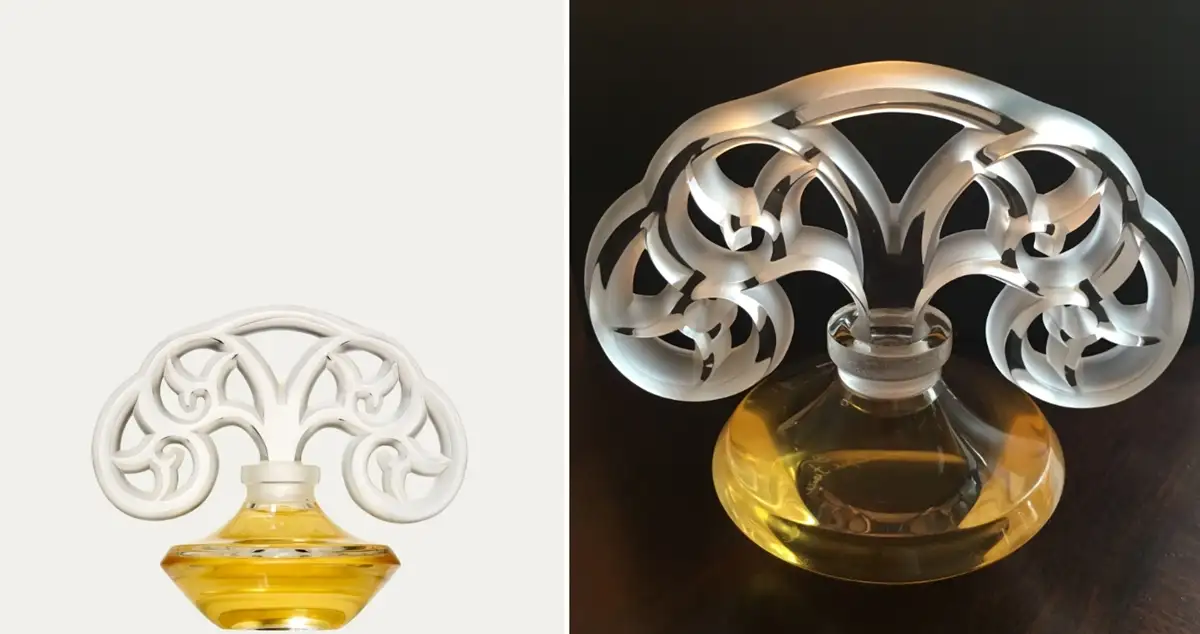 Top 8 Perfumes Worth the Splurge in 2024